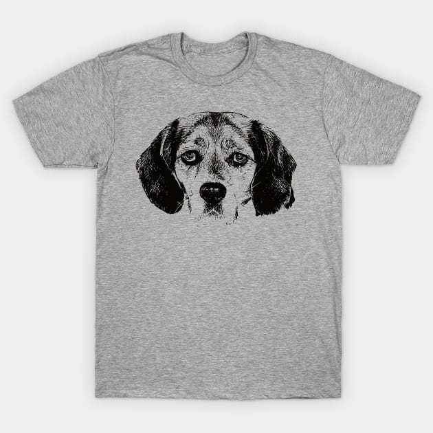 English Beagle gift for Beagle Owners Beagle T Shirt TeePublic